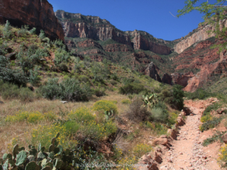 Dean Salman National Park Photography