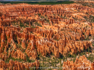 Dean Salman National Park Photography