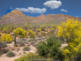 Dean Salman National Park Photography