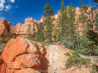 Dean Salman National Park Photography